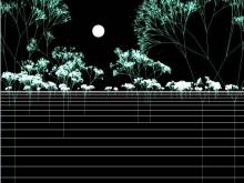 LINDENMAYER NOCTURNE